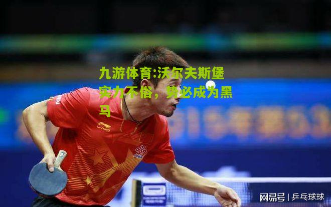 沃尔夫斯堡实力不俗，势必成为黑马